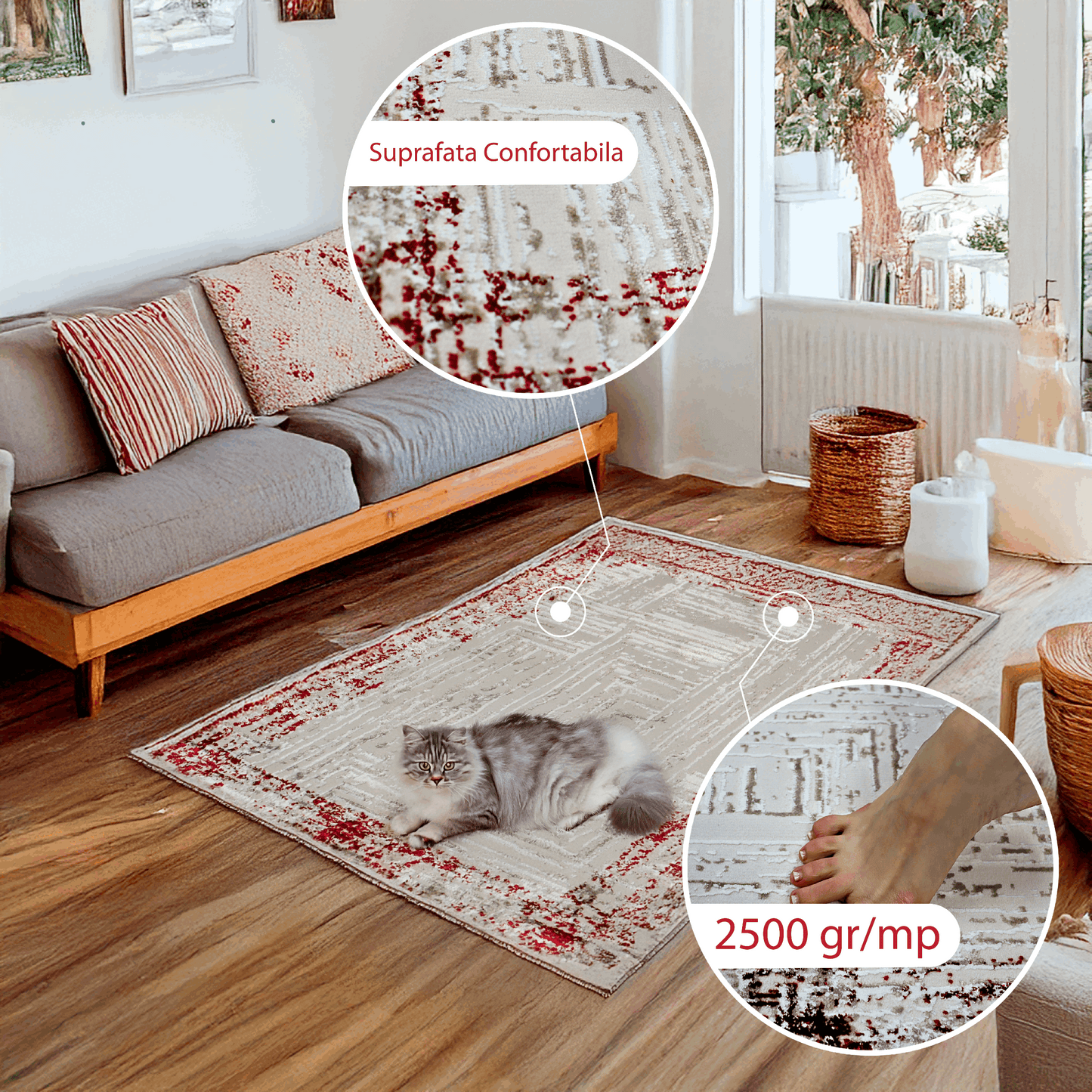 covor, premium, ieftin, reducere, living, copii, contemporan, modern, bucatarie, casa, familie, design
