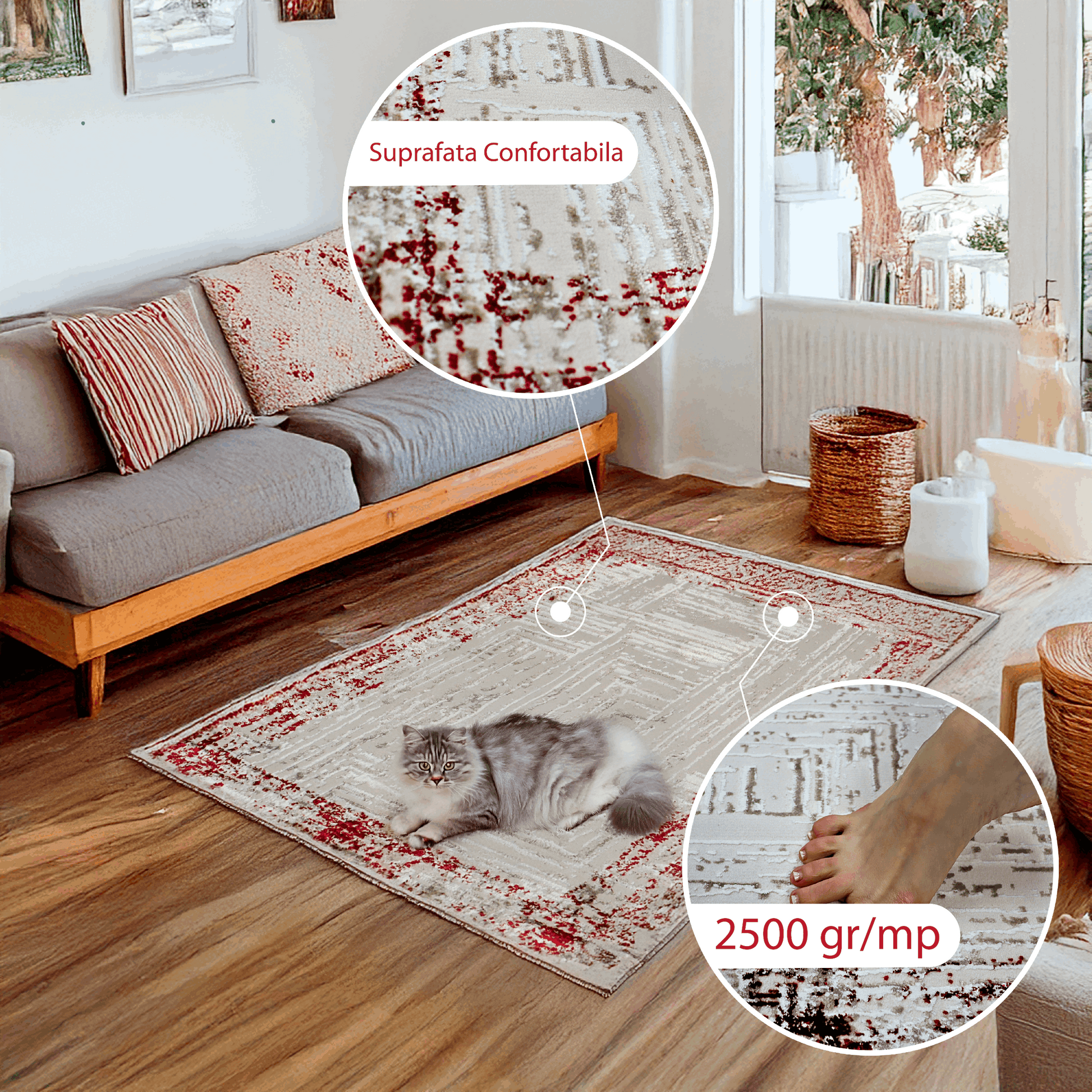covor, premium, ieftin, reducere, living, copii, contemporan, modern, bucatarie, casa, familie, design