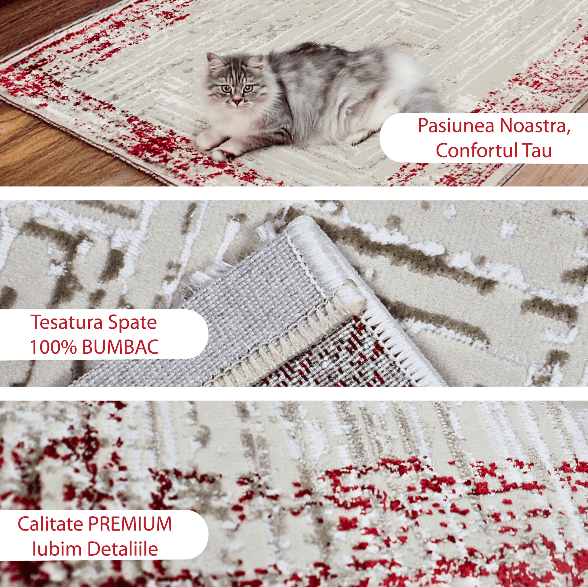 covor, premium, ieftin, reducere, living, copii, contemporan, modern, bucatarie, casa, familie, design