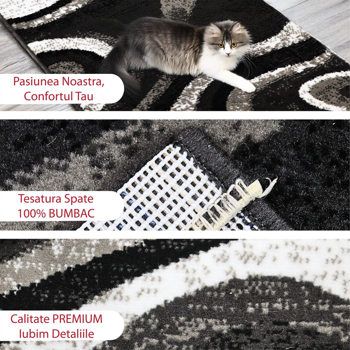 covor, premium, ieftin, reducere, living, copii, contemporan, modern, bucatarie, casa, familie, design