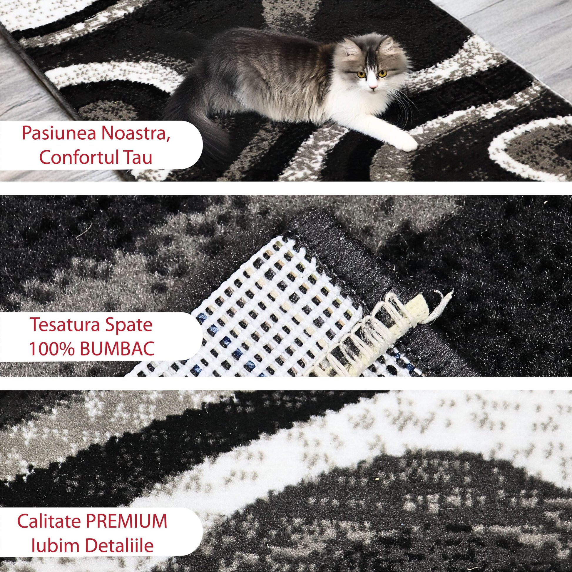 covor, premium, ieftin, reducere, living, copii, contemporan, modern, bucatarie, casa, familie, design