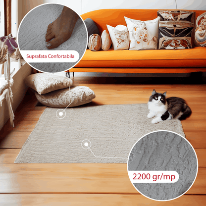 covor, premium, ieftin, reducere, living, copii, contemporan, modern, bucatarie, casa, familie, design