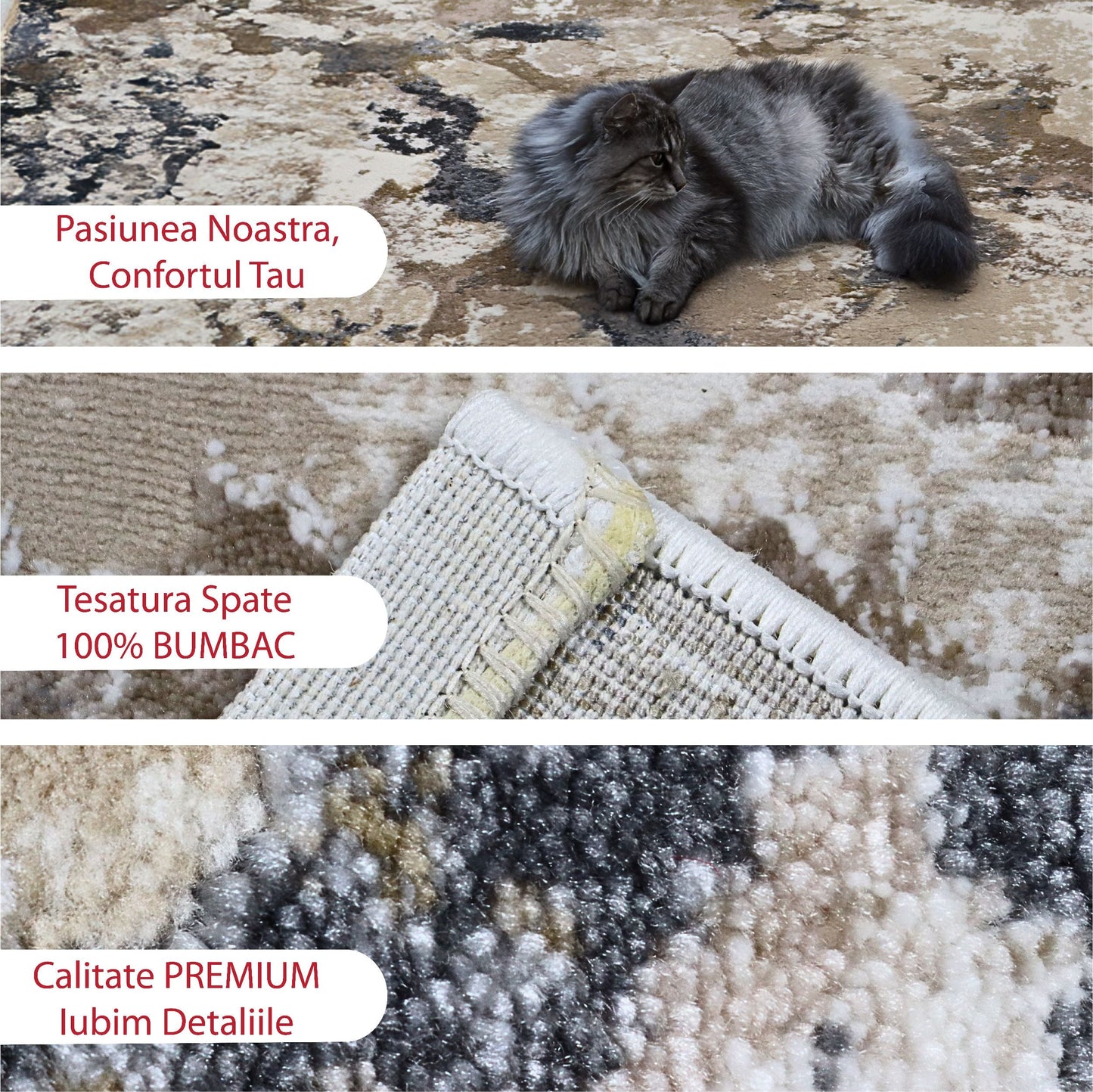 covor, premium, ieftin, reducere, living, copii, contemporan, modern, bucatarie, casa, familie, design