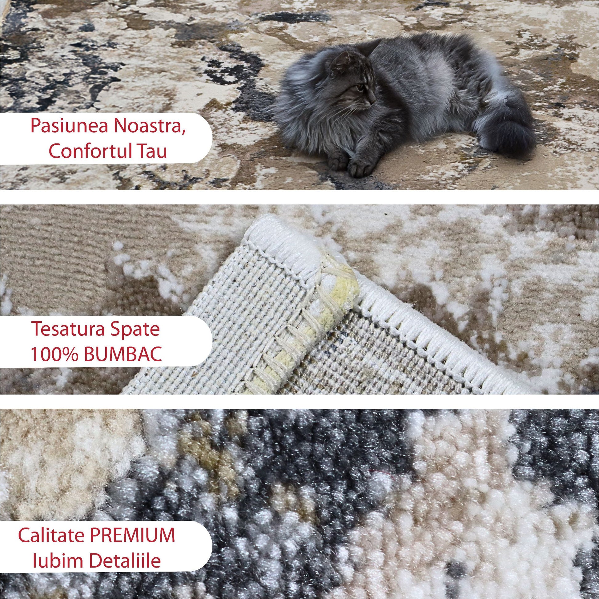 covor, premium, ieftin, reducere, living, copii, contemporan, modern, bucatarie, casa, familie, design