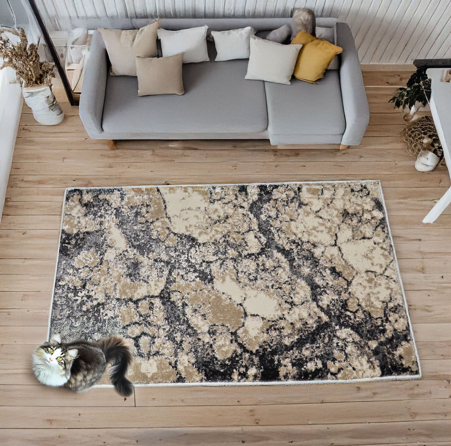 covor, premium, ieftin, reducere, living, copii, contemporan, modern, bucatarie, casa, familie, design