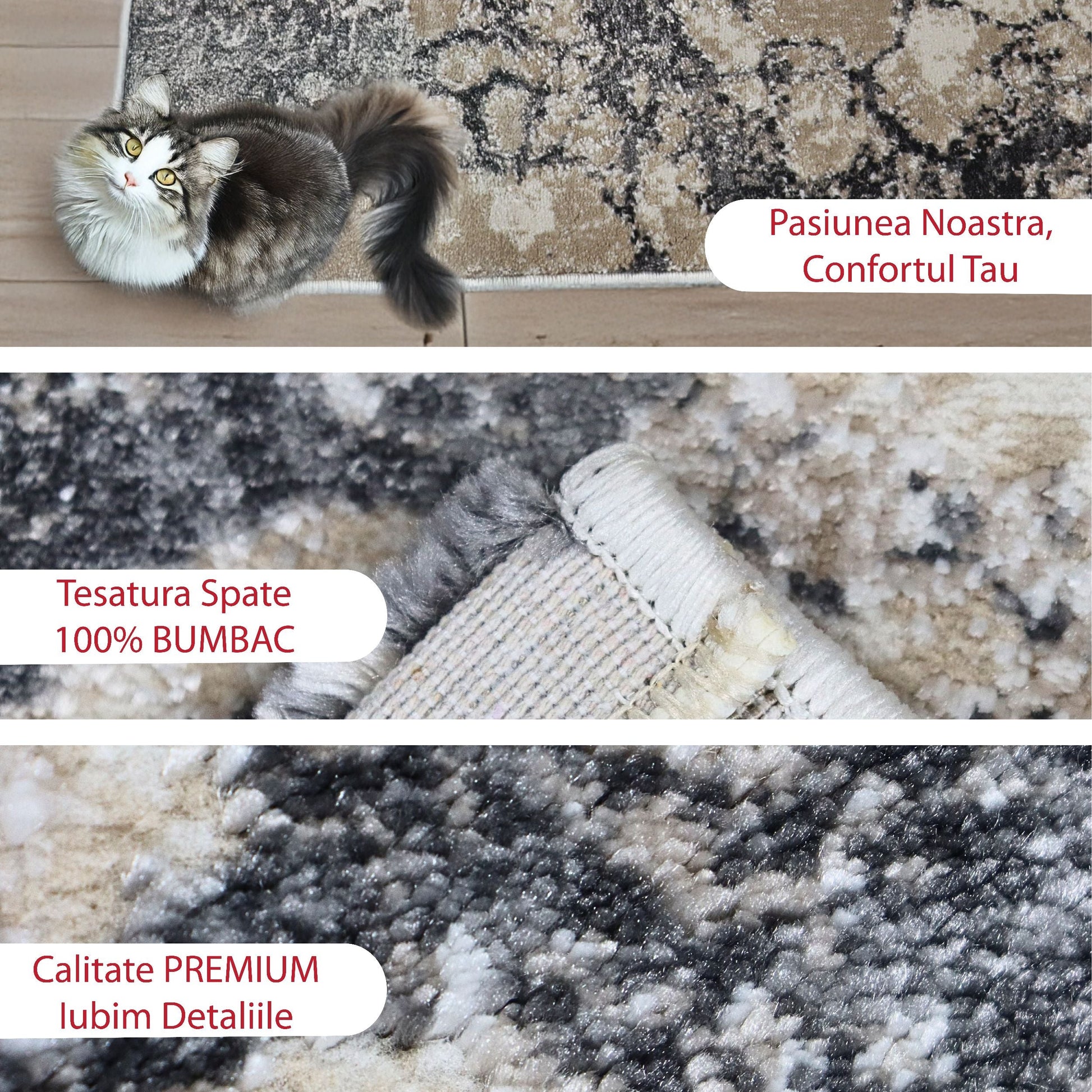 covor, premium, ieftin, reducere, living, copii, contemporan, modern, bucatarie, casa, familie, design