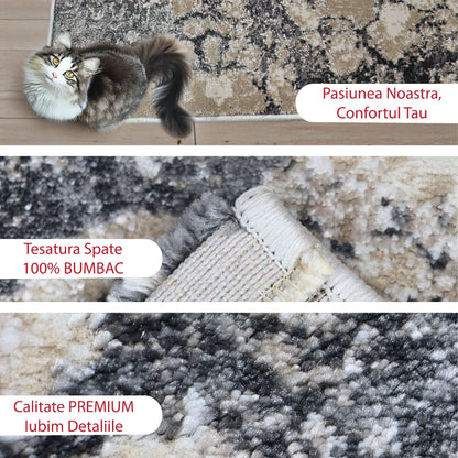 covor, premium, ieftin, reducere, living, copii, contemporan, modern, bucatarie, casa, familie, design