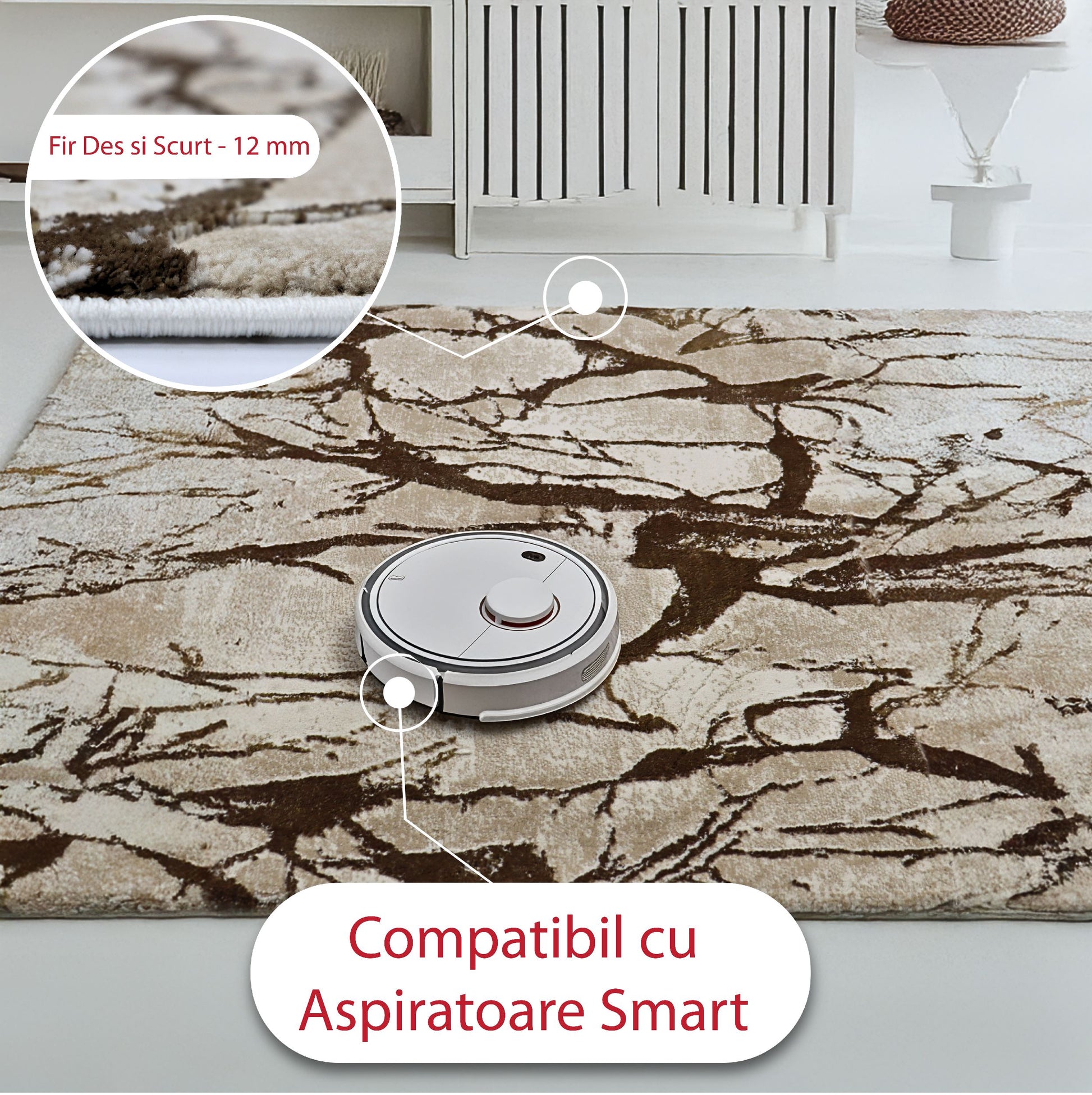 covor, premium, ieftin, reducere, living, copii, contemporan, modern, bucatarie, casa, familie, design