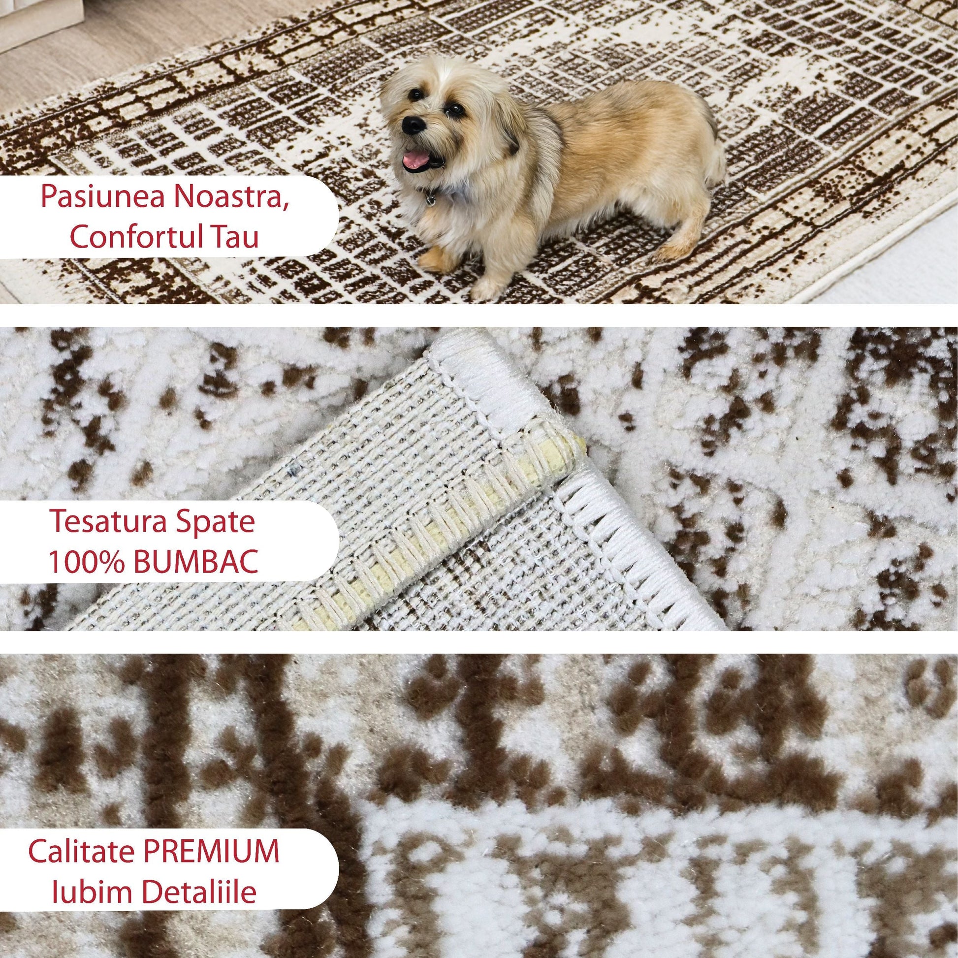 covor, premium, ieftin, reducere, living, copii, contemporan, modern, bucatarie, casa, familie, design