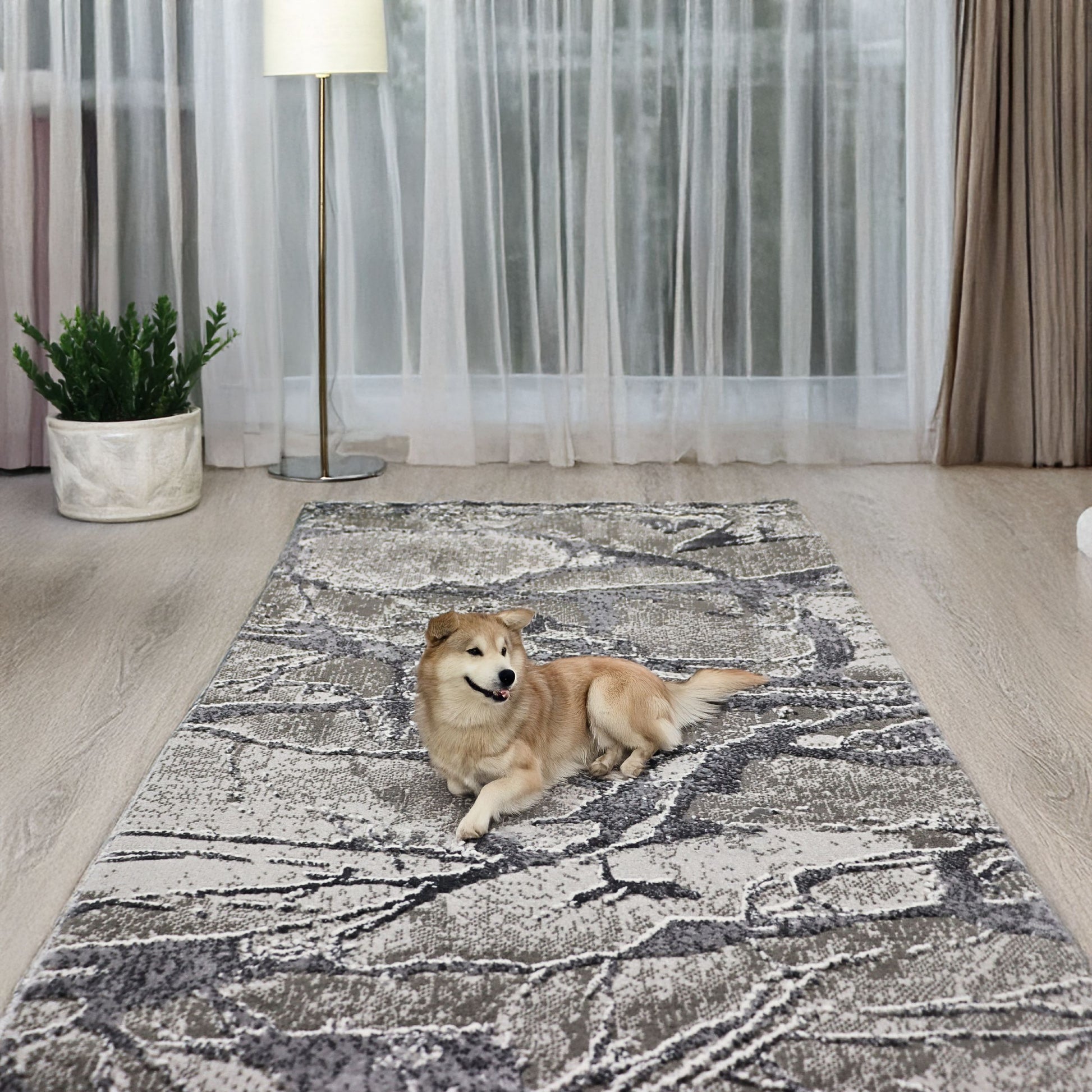 covor, premium, ieftin, reducere, living, copii, contemporan, modern, bucatarie, casa, familie, design