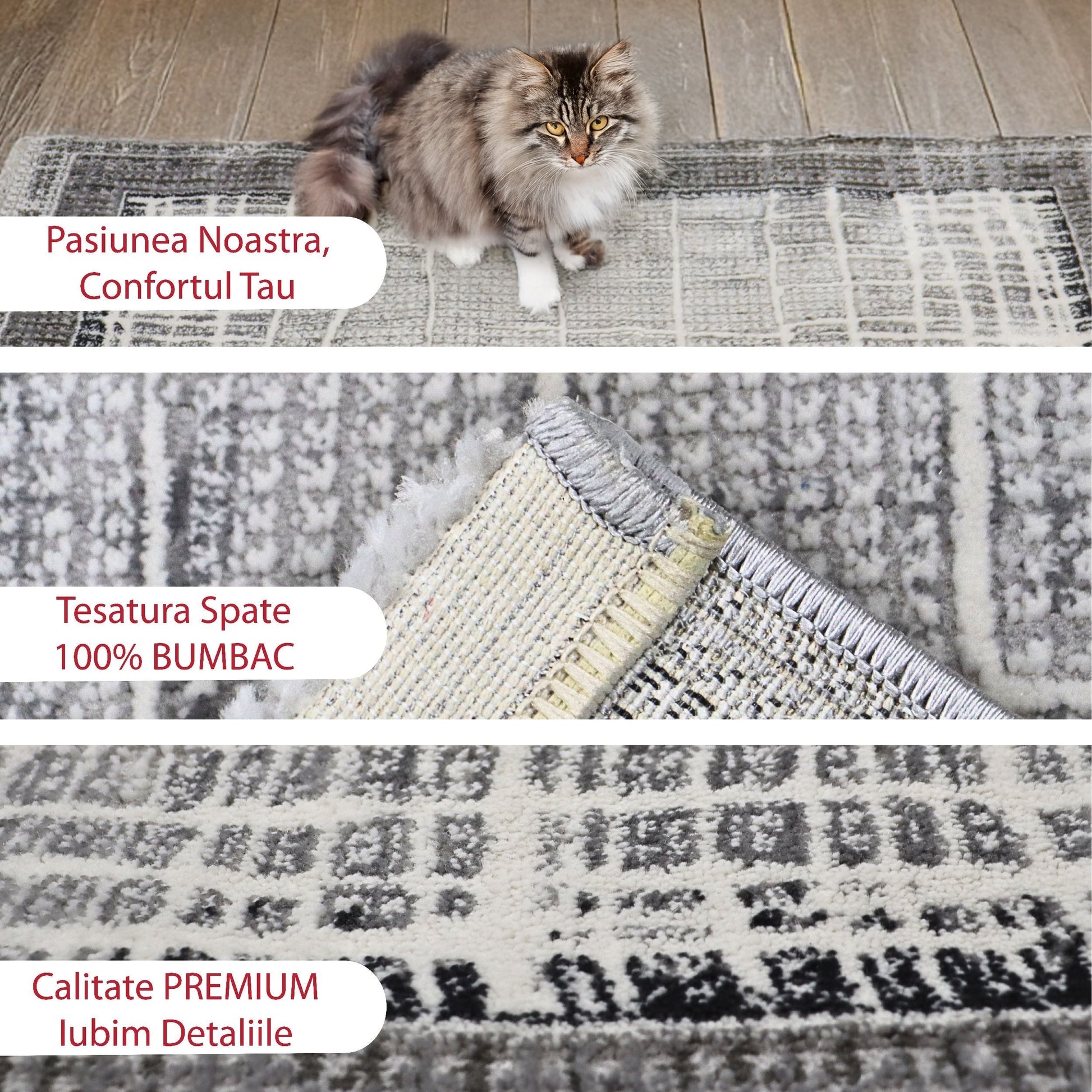 covor, premium, ieftin, reducere, living, copii, contemporan, modern, bucatarie, casa, familie, design