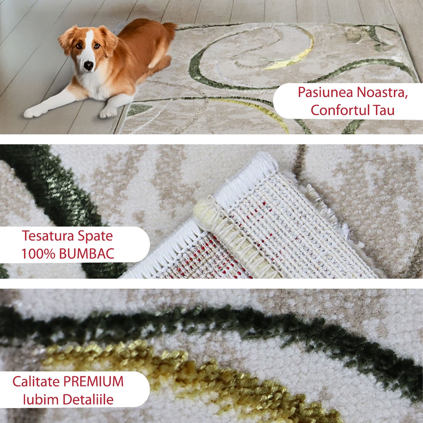 covor, premium, ieftin, reducere, living, copii, contemporan, modern, bucatarie, casa, familie, design