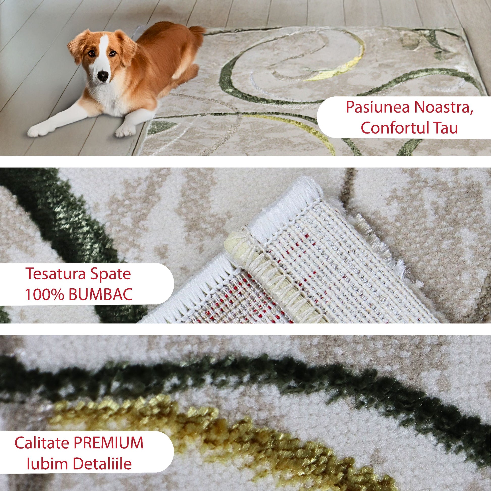 covor, premium, ieftin, reducere, living, copii, contemporan, modern, bucatarie, casa, familie, design