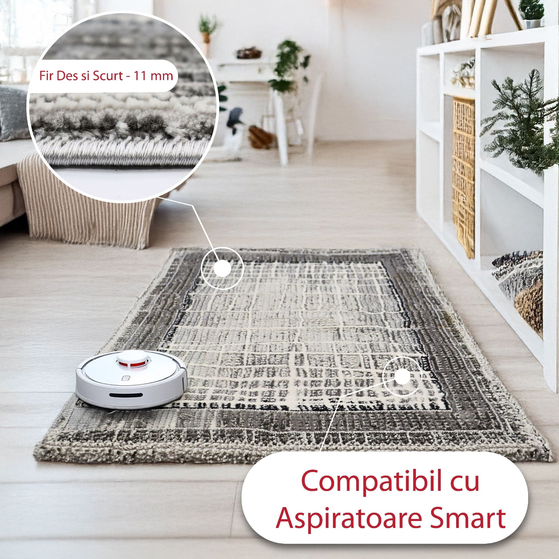 covor, premium, ieftin, reducere, living, copii, contemporan, modern, bucatarie, casa, familie, design