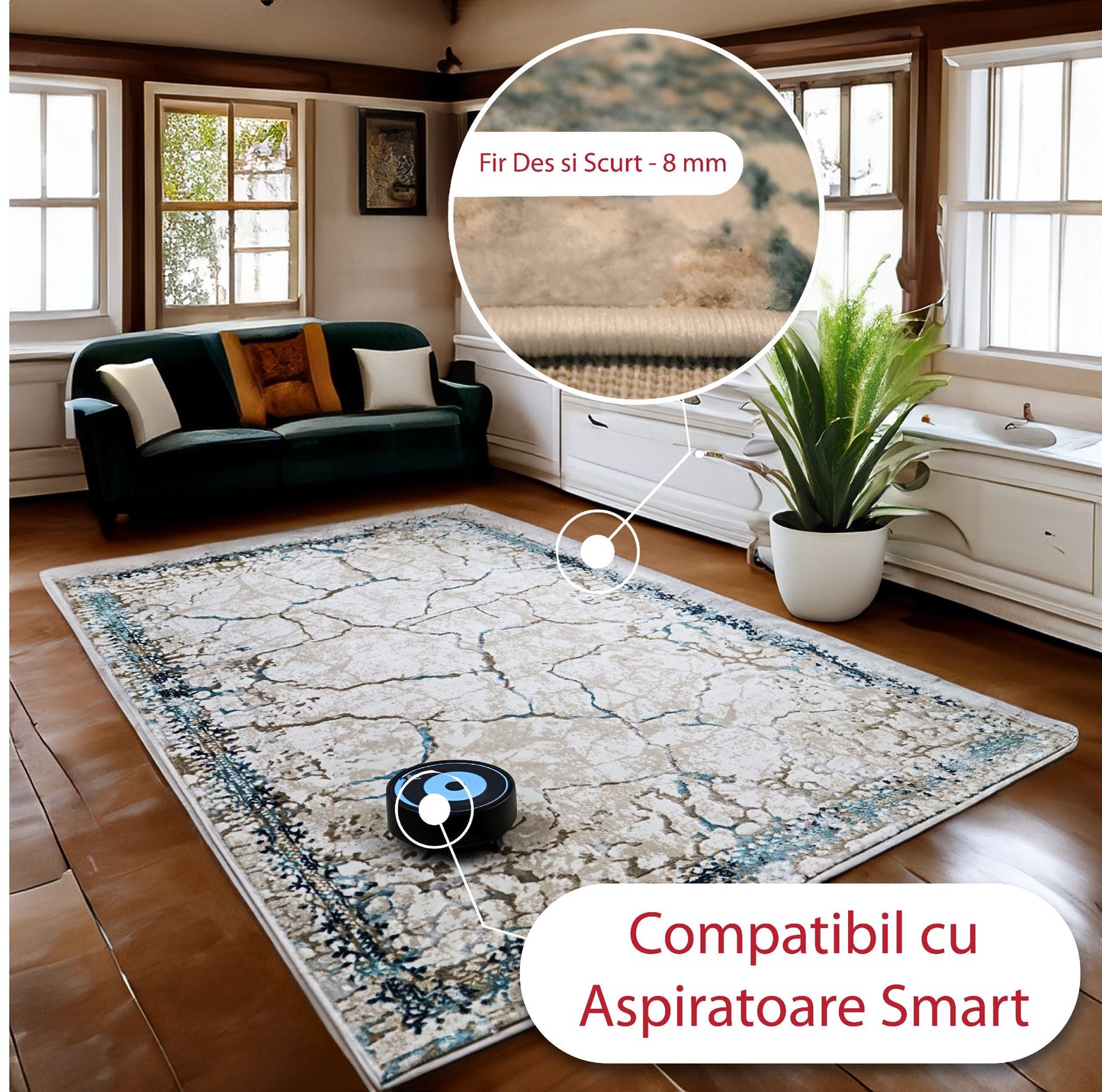 covor, premium, ieftin, reducere, living, copii, contemporan, modern, bucatarie, casa, familie, design