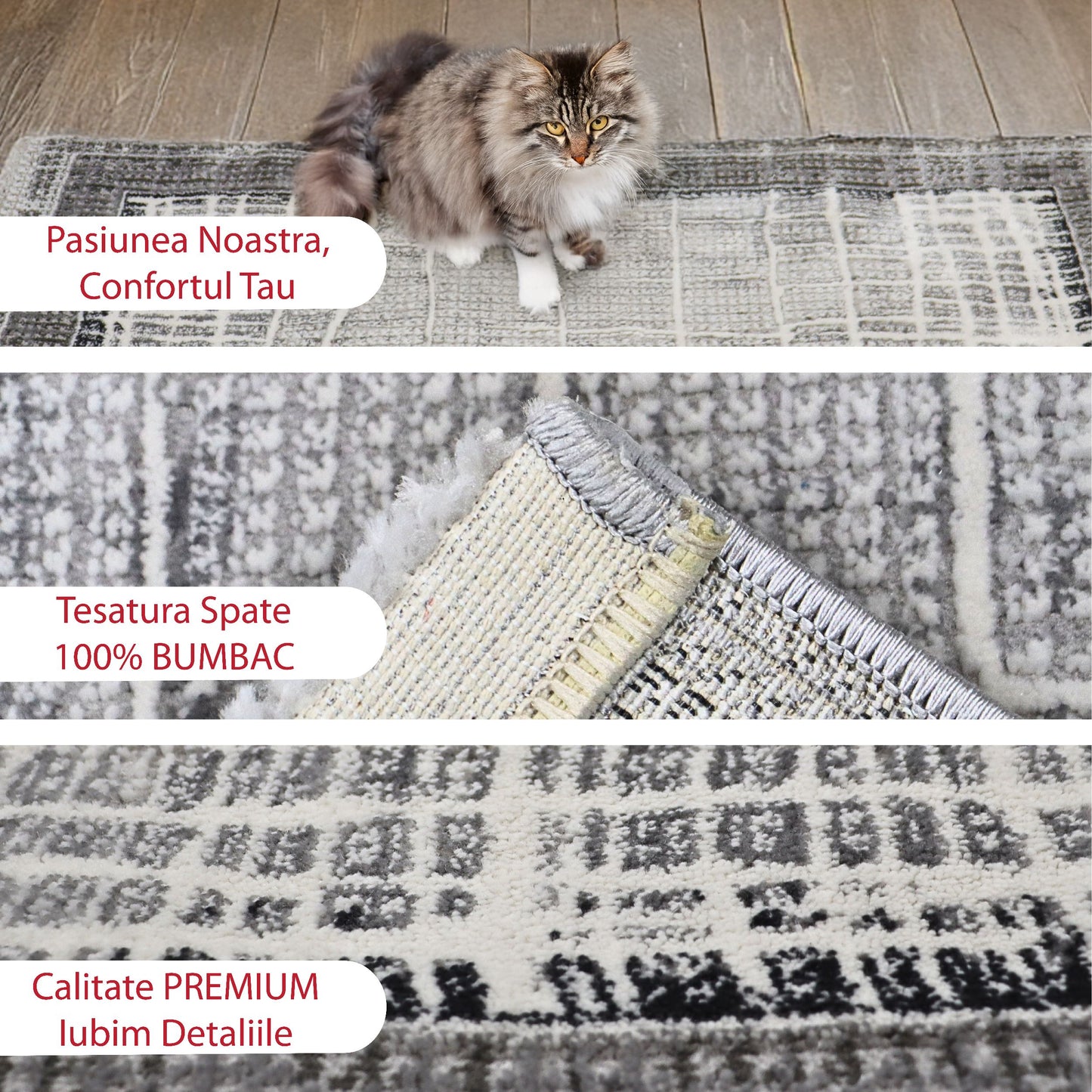 covor, premium, ieftin, reducere, living, copii, contemporan, modern, bucatarie, casa, familie, design