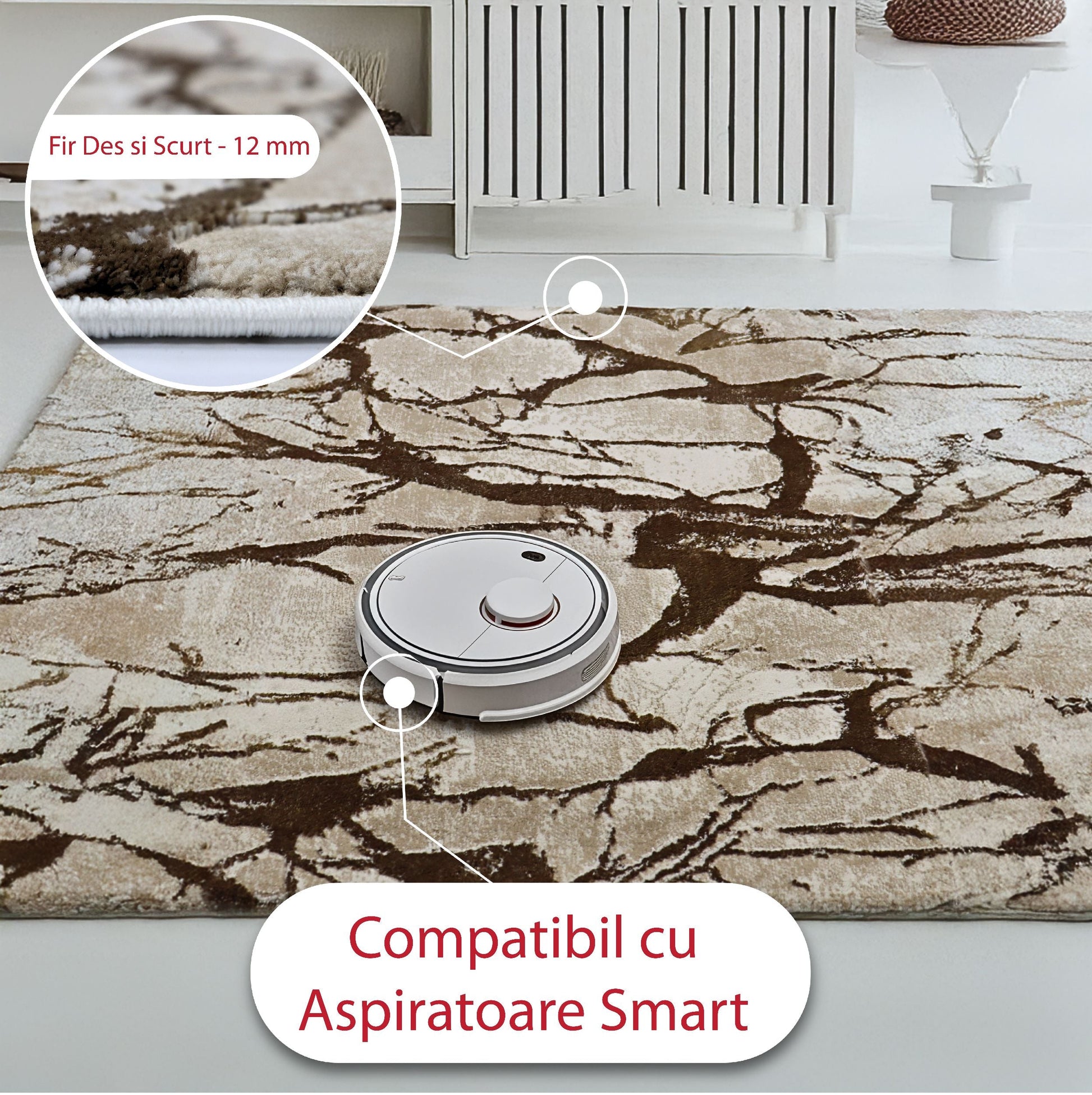 covor, premium, ieftin, reducere, living, copii, contemporan, modern, bucatarie, casa, familie, design