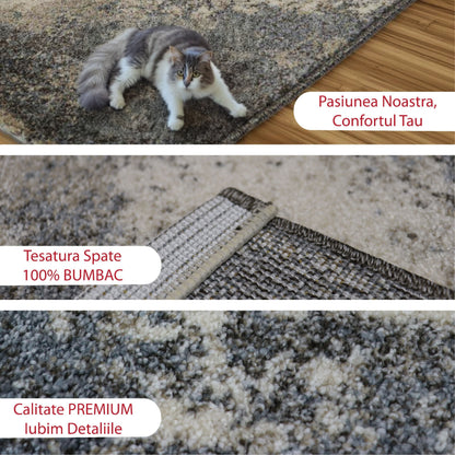 covor, premium, ieftin, reducere, living, copii, contemporan, modern, bucatarie, casa, familie, design