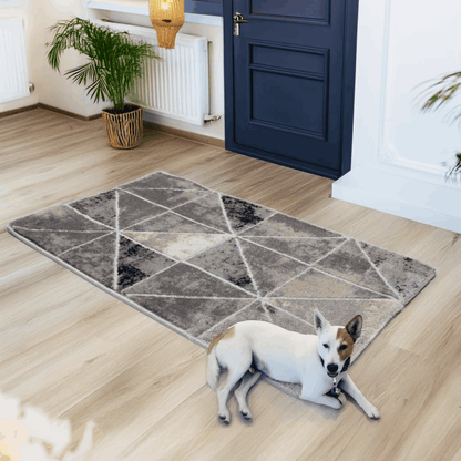 covor, premium, ieftin, reducere, living, copii, contemporan, modern, bucatarie, casa, familie, design